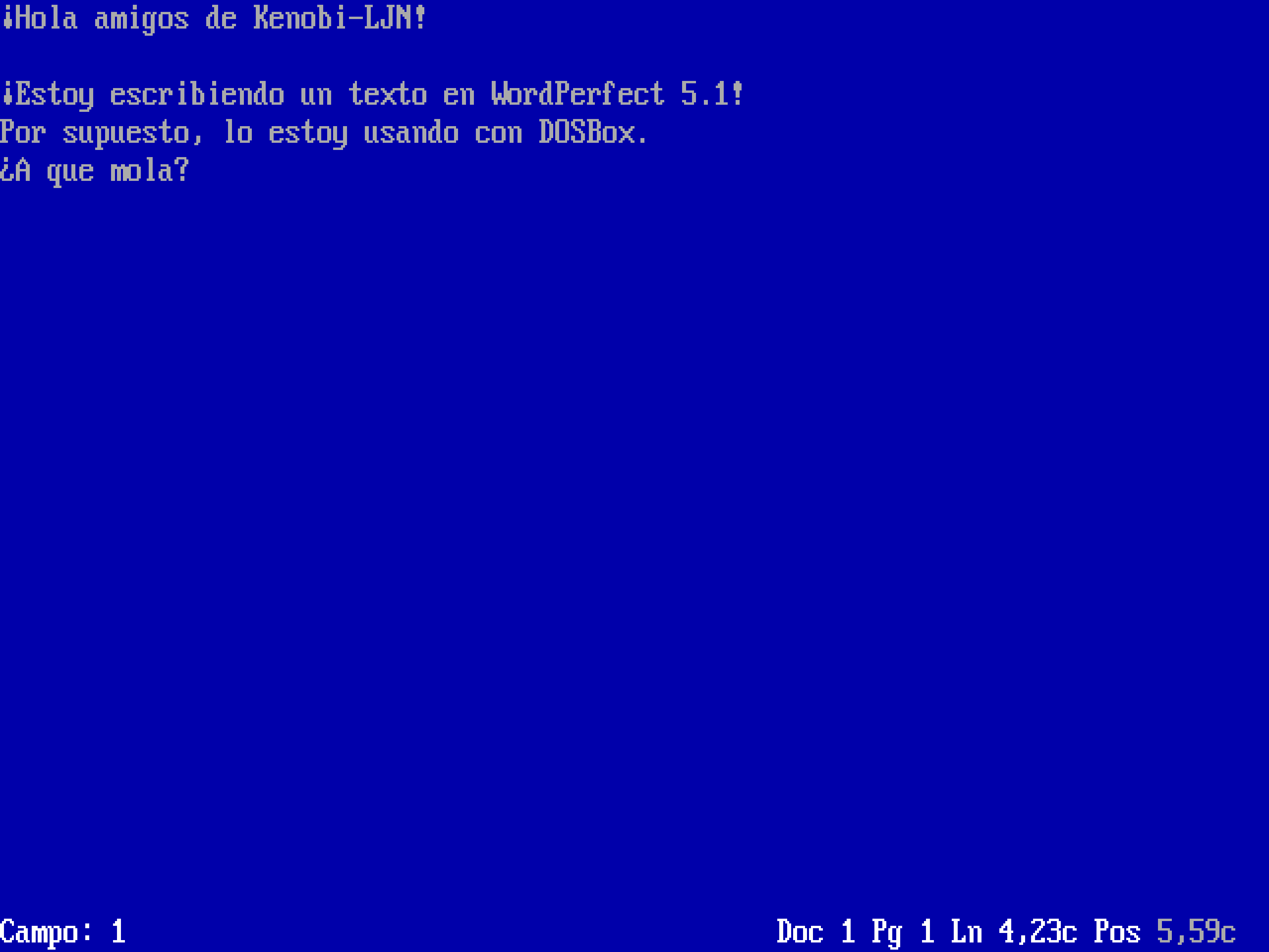 <p>Recuerdo que mi padre escribió un diccionario Español/Alemán entero con esto.</p><p><i>WordPerfect 5.1</i></p>